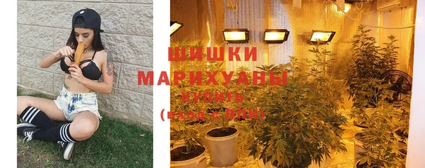 спиды Яровое