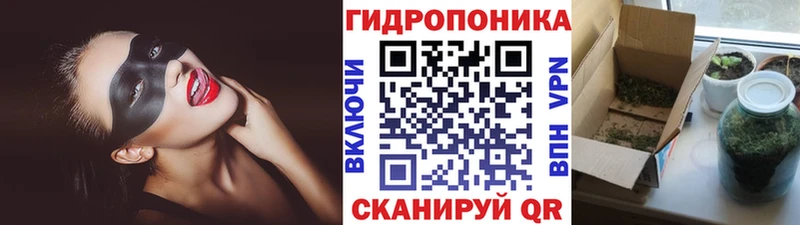 Канабис гибрид  Купить где  Прохладный 